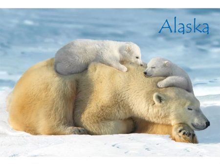 POLAR BEAR & CUBS - ALASKA - 3D Magnet for Refrigerators, Whiteboards, and Lockers - NEW Online Hot Sale