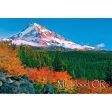 MOUNT HOOD - 2 Image 3D Magnet for Refrigerators, Whiteboards, and Lockers - NEW For Cheap