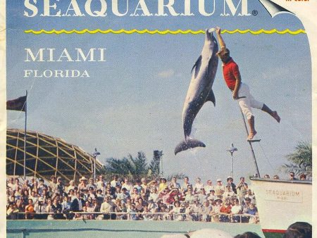 Seaquarium - Miami, Florida - View-Master 3 Reel Packet - 1960s views - vintage - (PKT-A966-G1B) Fashion