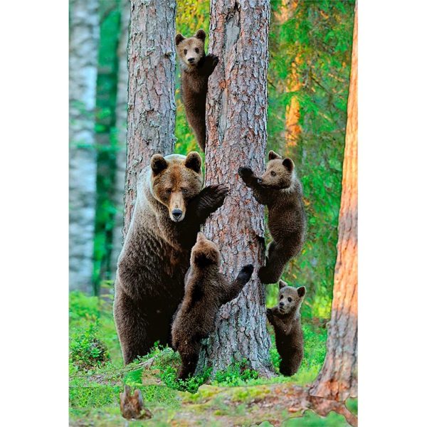 GRIZZLY BEAR FAMILY - 3D Magnet for Refrigerator, Whiteboard, Locker Supply