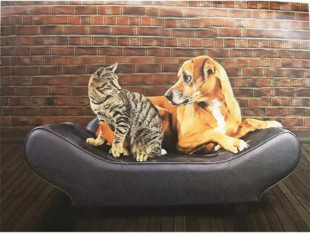 Cat and Dog Sitting on Couch- 3D Lenticular Poster - 12x16 -  NEW For Sale