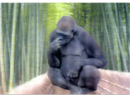 GORILLA - 3D Lenticular Postcard Greeting Card - NEW Online Sale