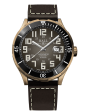 Ball Roadmaster StarLight Bronze DD3072B Discount