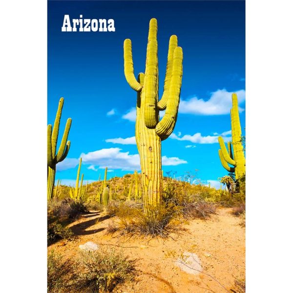 SAGUARO CACTUS - 3D Magnet for Refrigerators, Whiteboards, and Lockers - NEW Hot on Sale