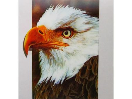 Bald Eagle Face - 3D Lenticular Poster - 12x16 - NEW Cheap