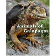 Animals of Galapagos -  View-Master 2 Reel Set - NEW Sale