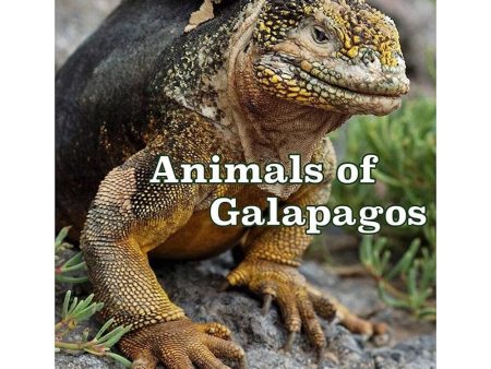 Animals of Galapagos -  View-Master 2 Reel Set - NEW Sale