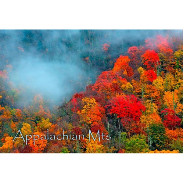 APPALACHIAN MOUNTAIN- 2 Image 3D Magnet for Refrigerator, Whiteboard, Locker For Discount