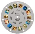 Animals of Galapagos -  View-Master 2 Reel Set - NEW Sale