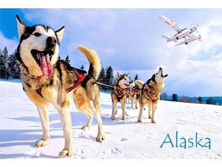 HUSKIES - ALASKA - 3D Magnet for Refrigerators, Whiteboards, and Lockers - NEW Fashion