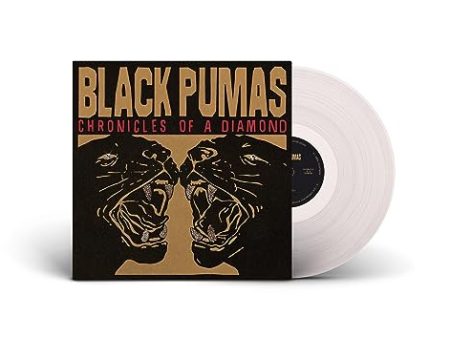 BLACK PUMAS - CHRONICLES OF A DIAMOND (VINYL) Discount